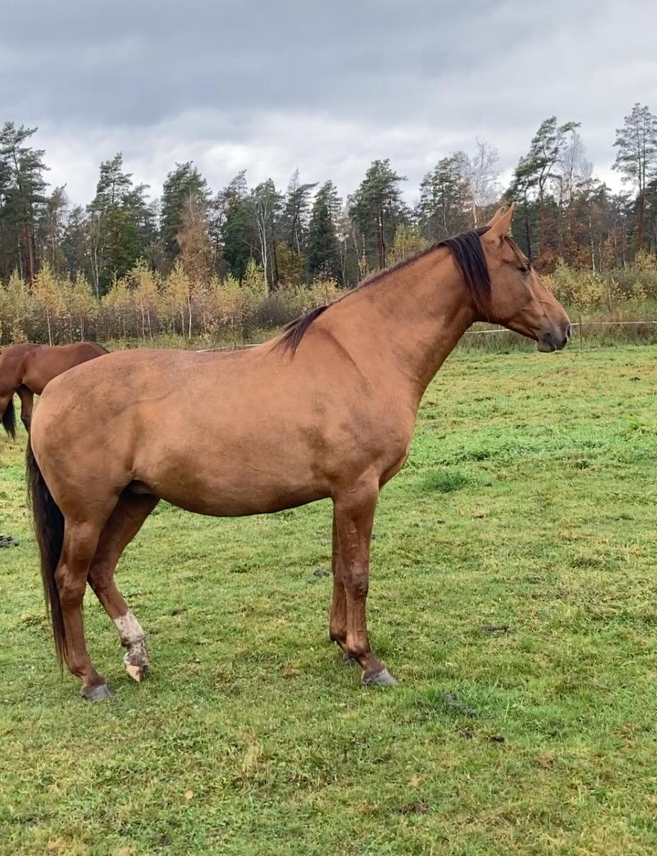 photo_2025-10-16 23.58.51.jpeg