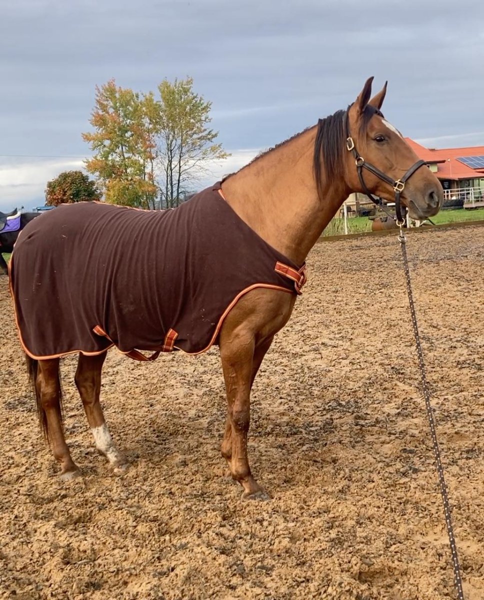 photo_2025-10-16 23.58.56.jpeg