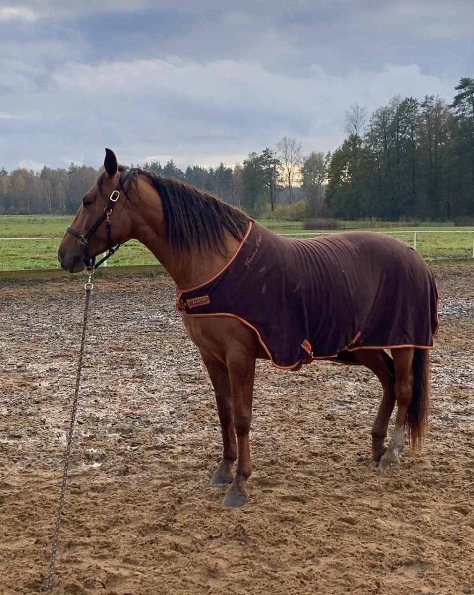 photo_2025-10-16 23.58.59.jpeg