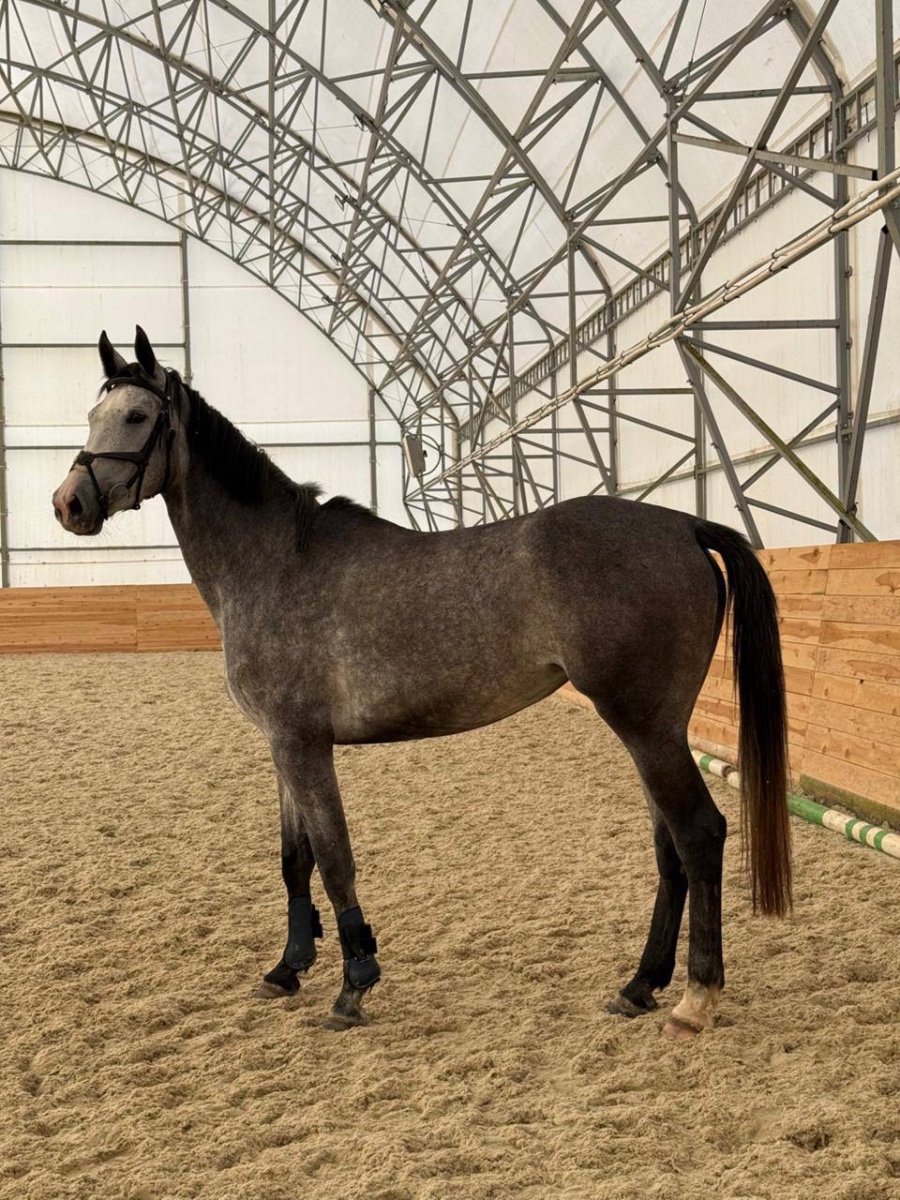 photo_2025-10-28 13.28.06.jpeg photo_2025-10-28 13.28.06.jpeg