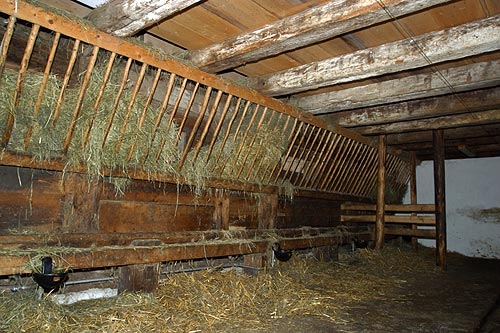 Picswiss_BE-91-02_Freilichtmuseum_Ballenberg-.jpg