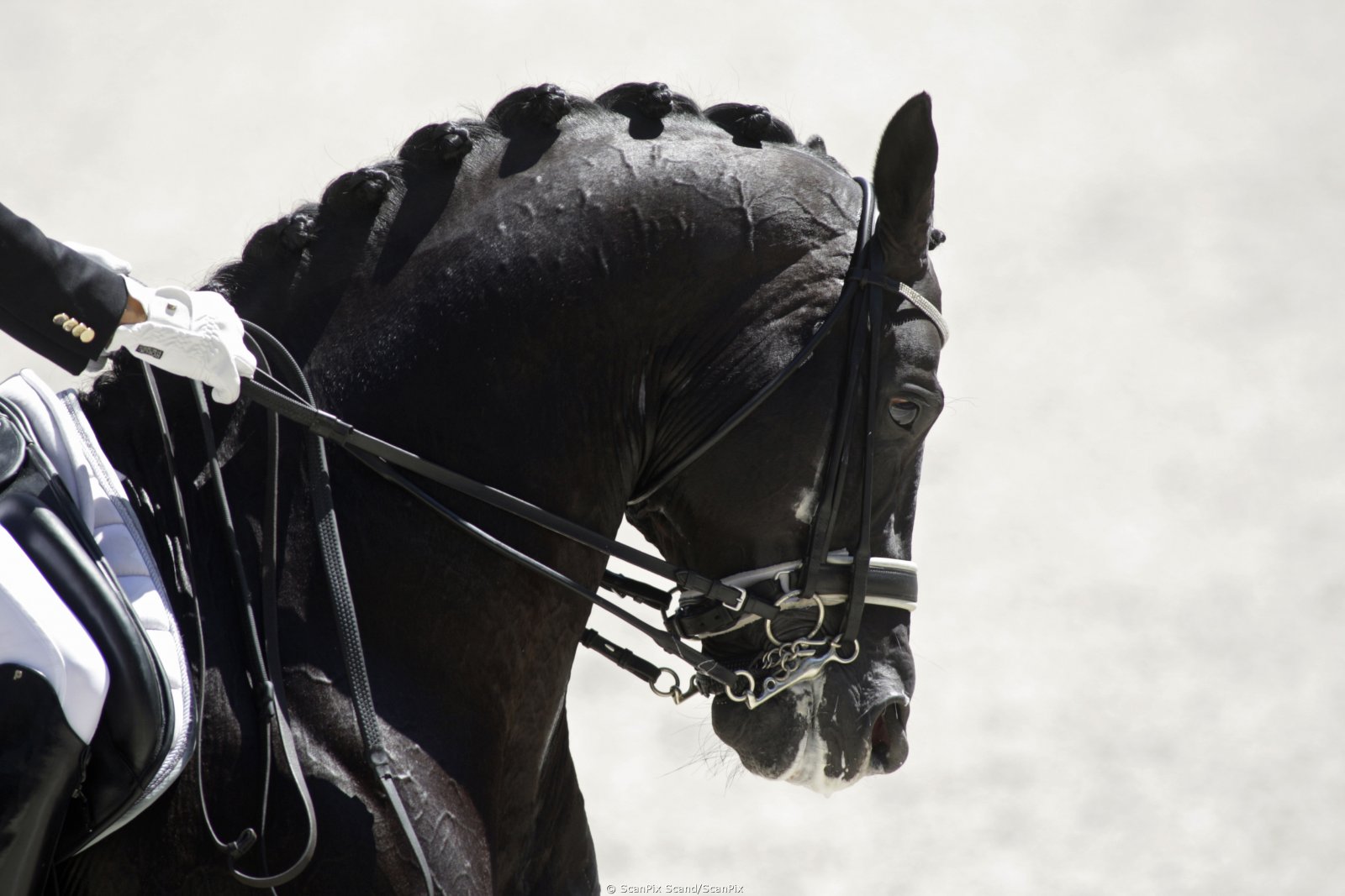 pictures-2010071816_6.jpg