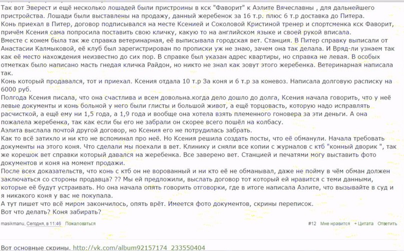 pL8284wSxlQ.jpg