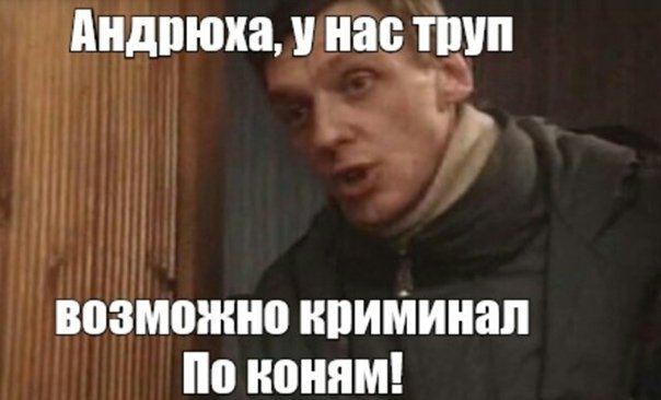 По коням.jpeg