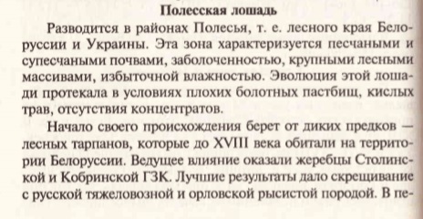 полеска.jpg