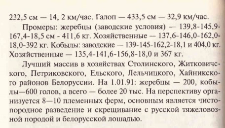 полеска2.jpg