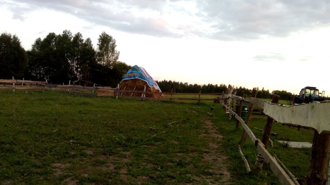Polish_20200823_113505302.png