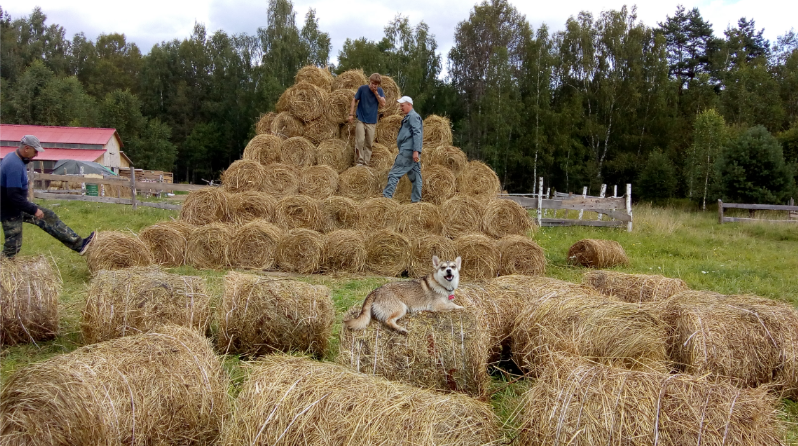 Polish_20200823_114229162.png
