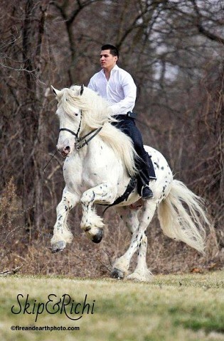 помесь 2.jpg