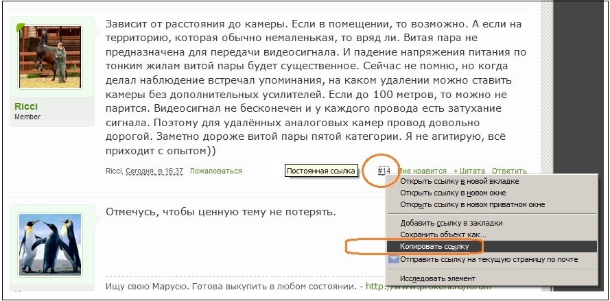 постоянная ссылка на сообщение.jpg