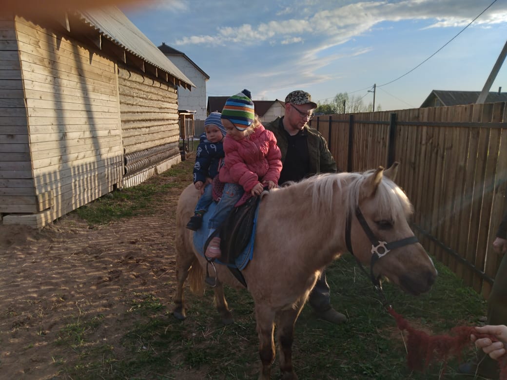 PqlD9hh1Pq0.jpg