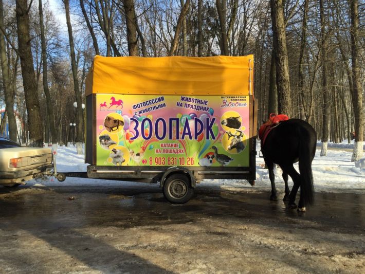 Прицеп2E.jpg