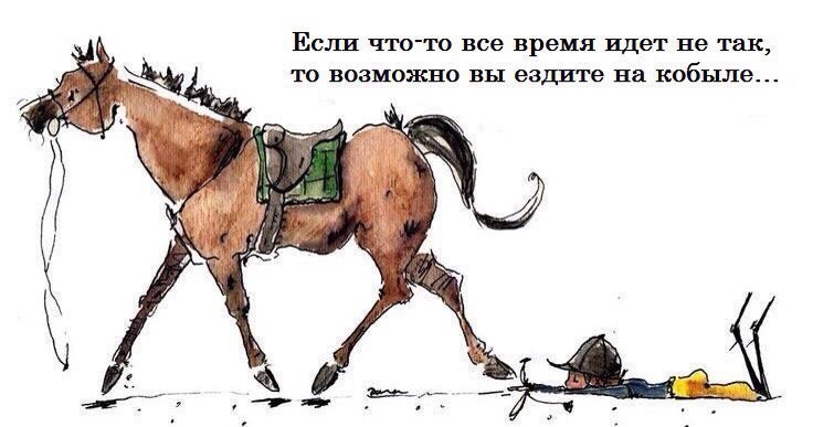 про кобылу.jpg