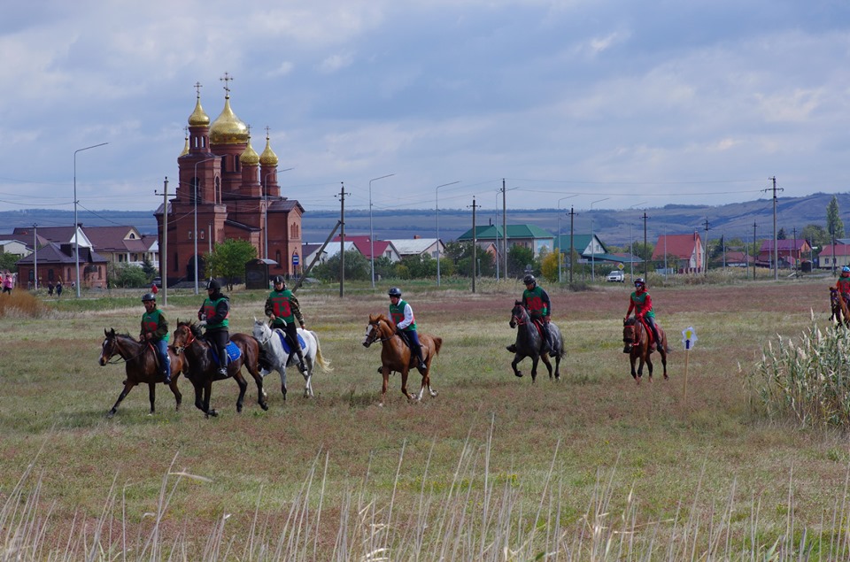 пробег.jpg