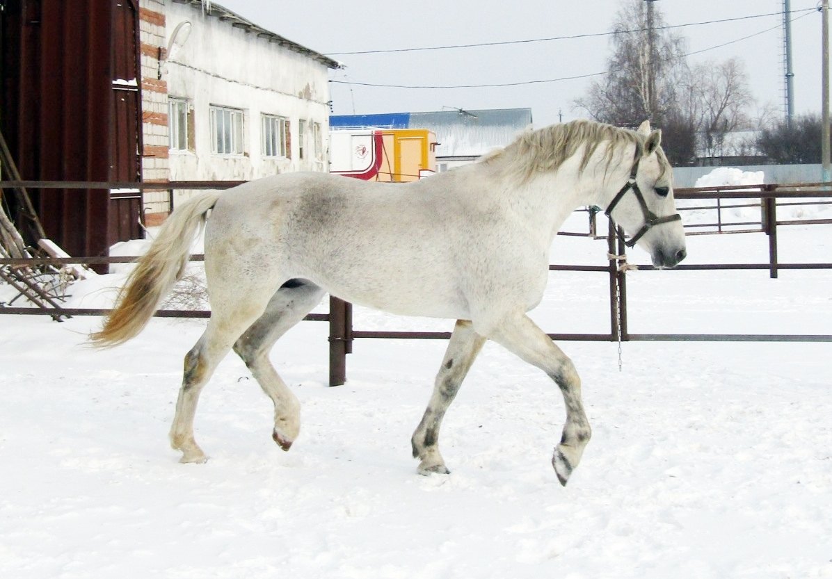 Проблеск.jpg