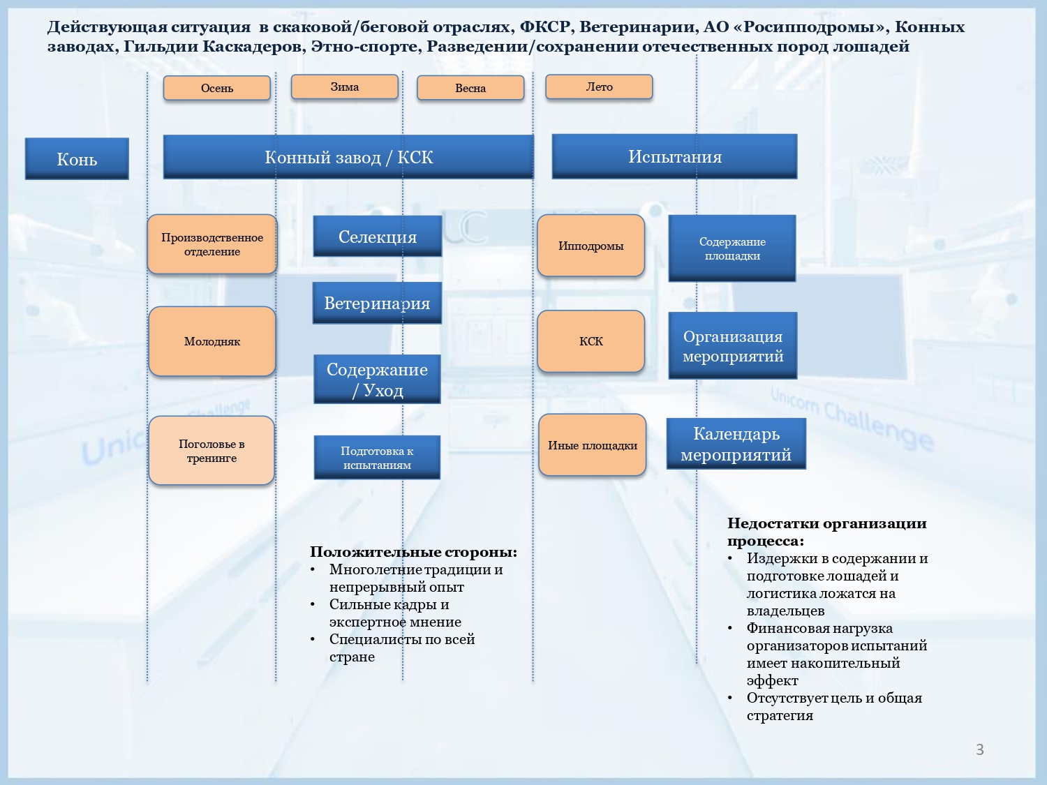 Программа развития конной индустрии_page-0004.jpg