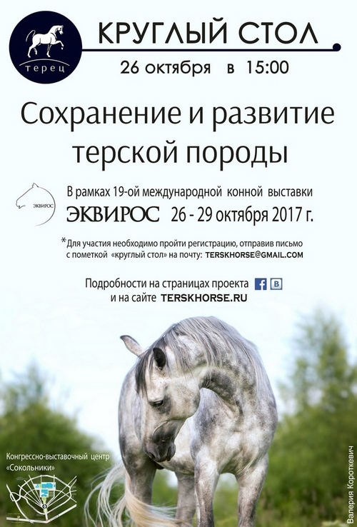 прокони.jpg
