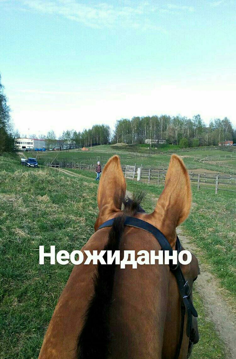 пут.jpg