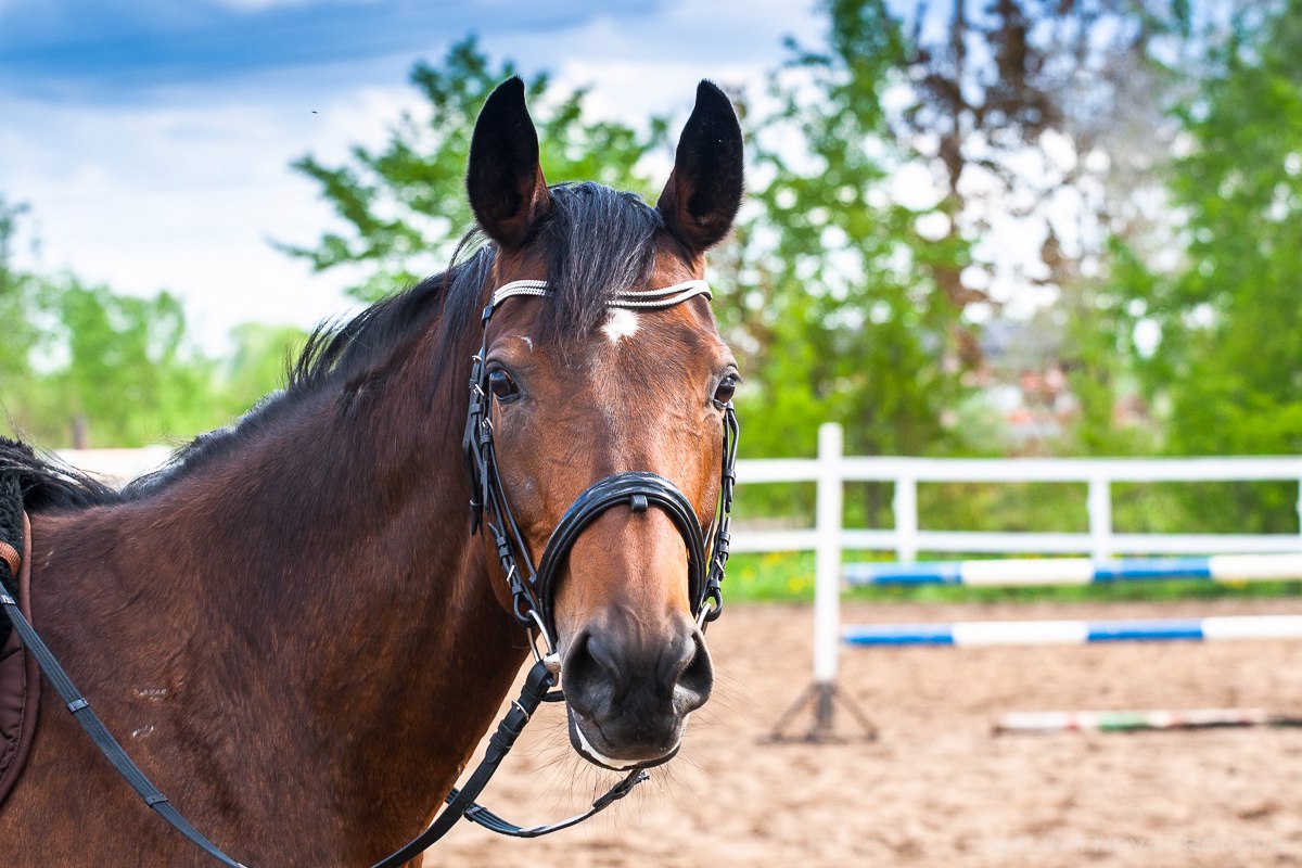 Q6D2zM1uL7w.jpg Q6D2zM1uL7w.jpg