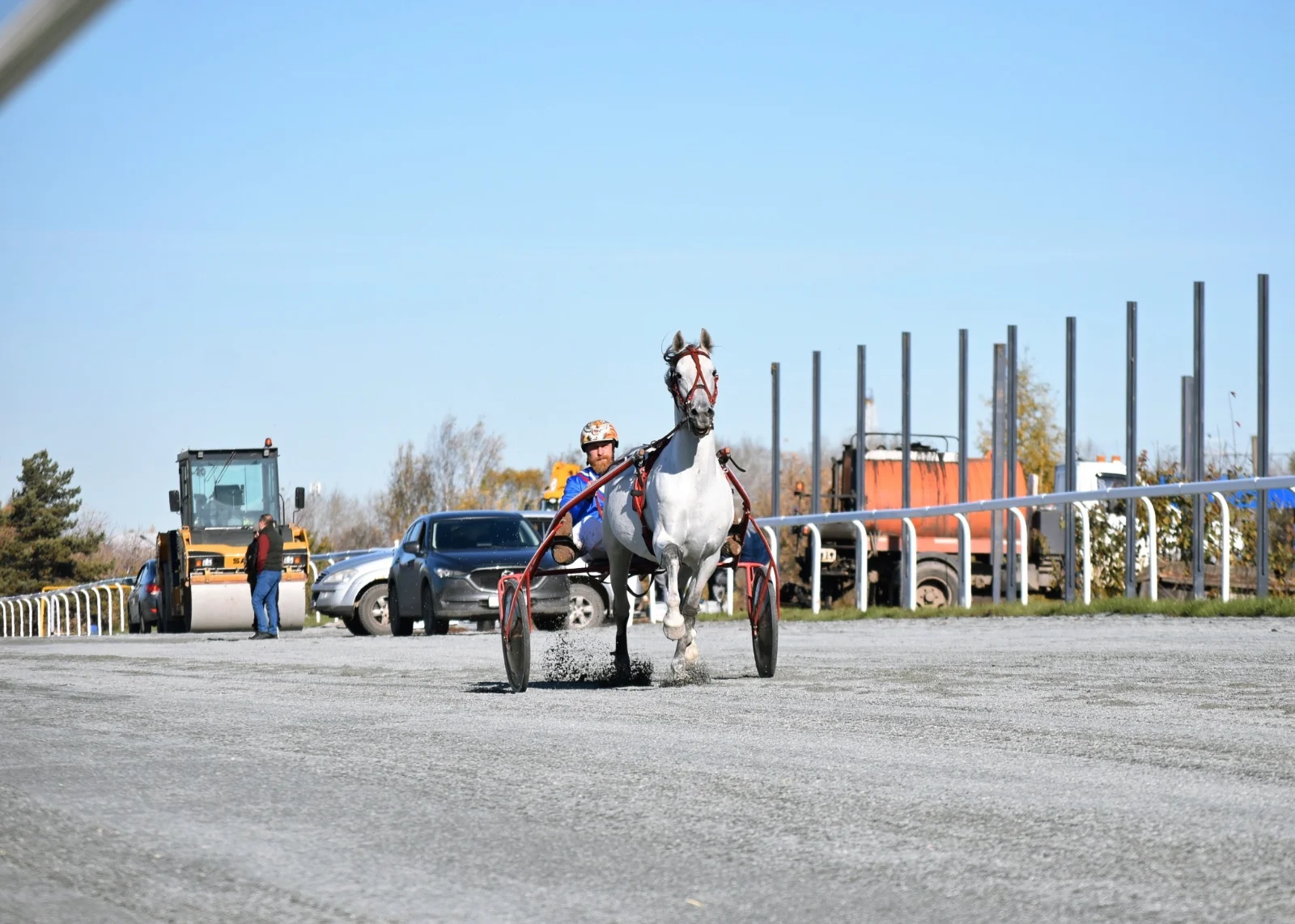 QAHnxWQYaGE.webp