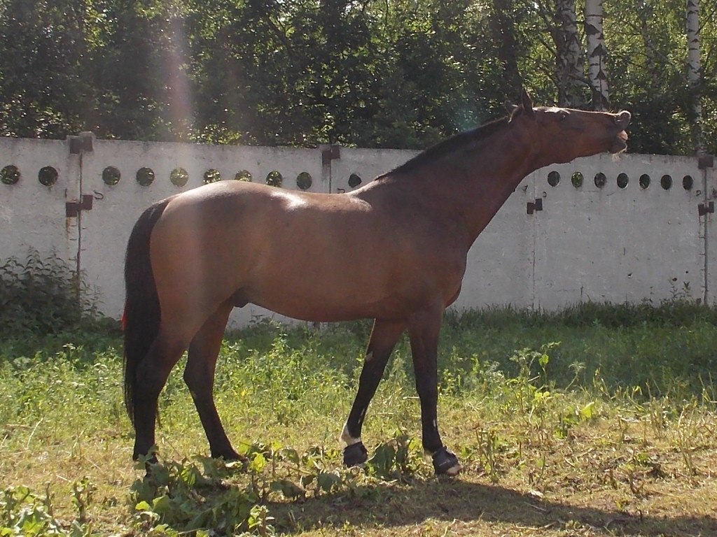 QAkj_PcMo10.jpg
