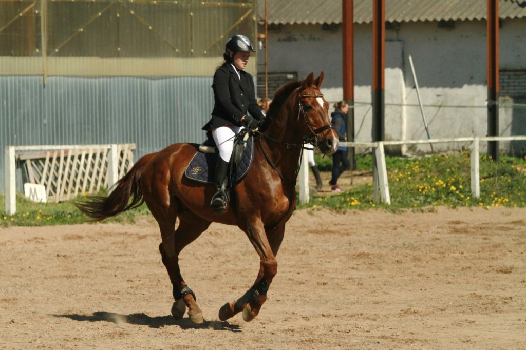 QErsTQn9_J4-1.jpg
