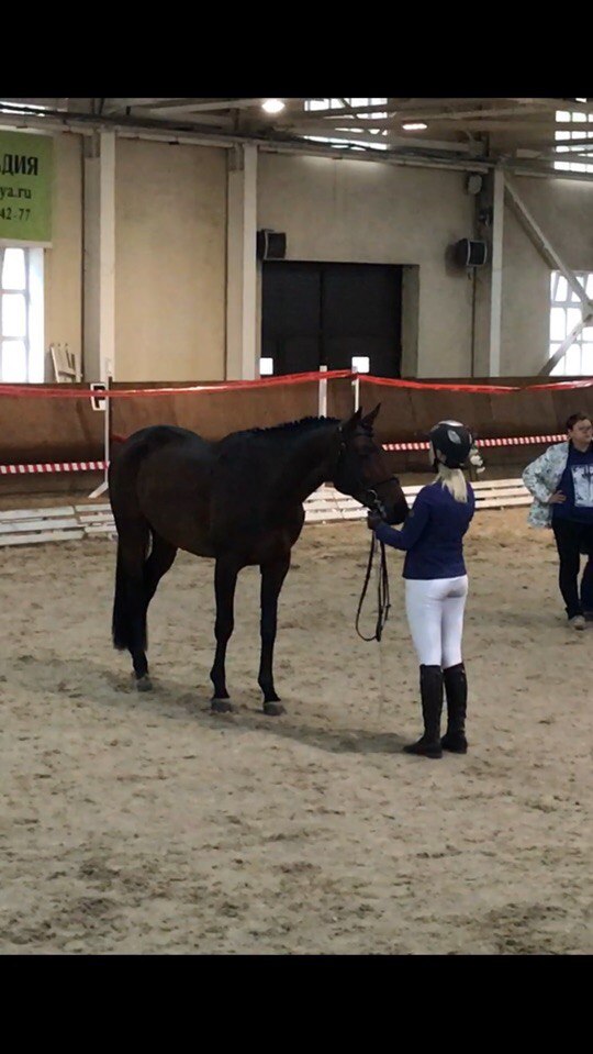 Qh-T1eptiiY.jpg