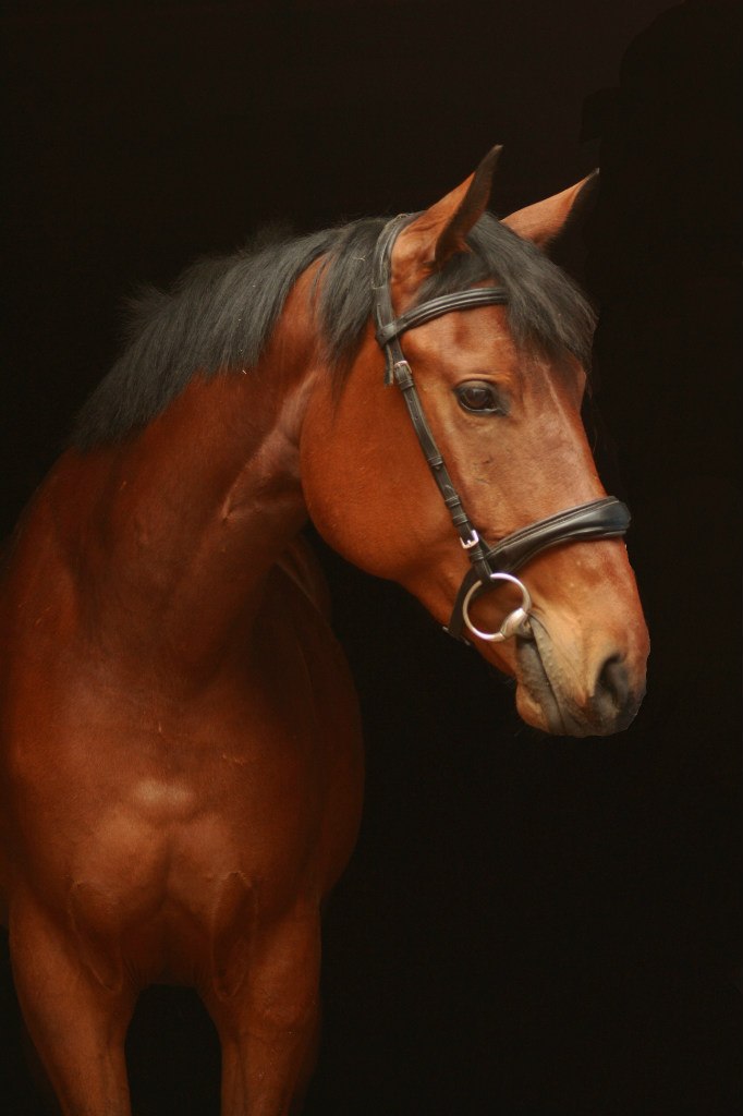 Qh7tVkdH1mA.jpg