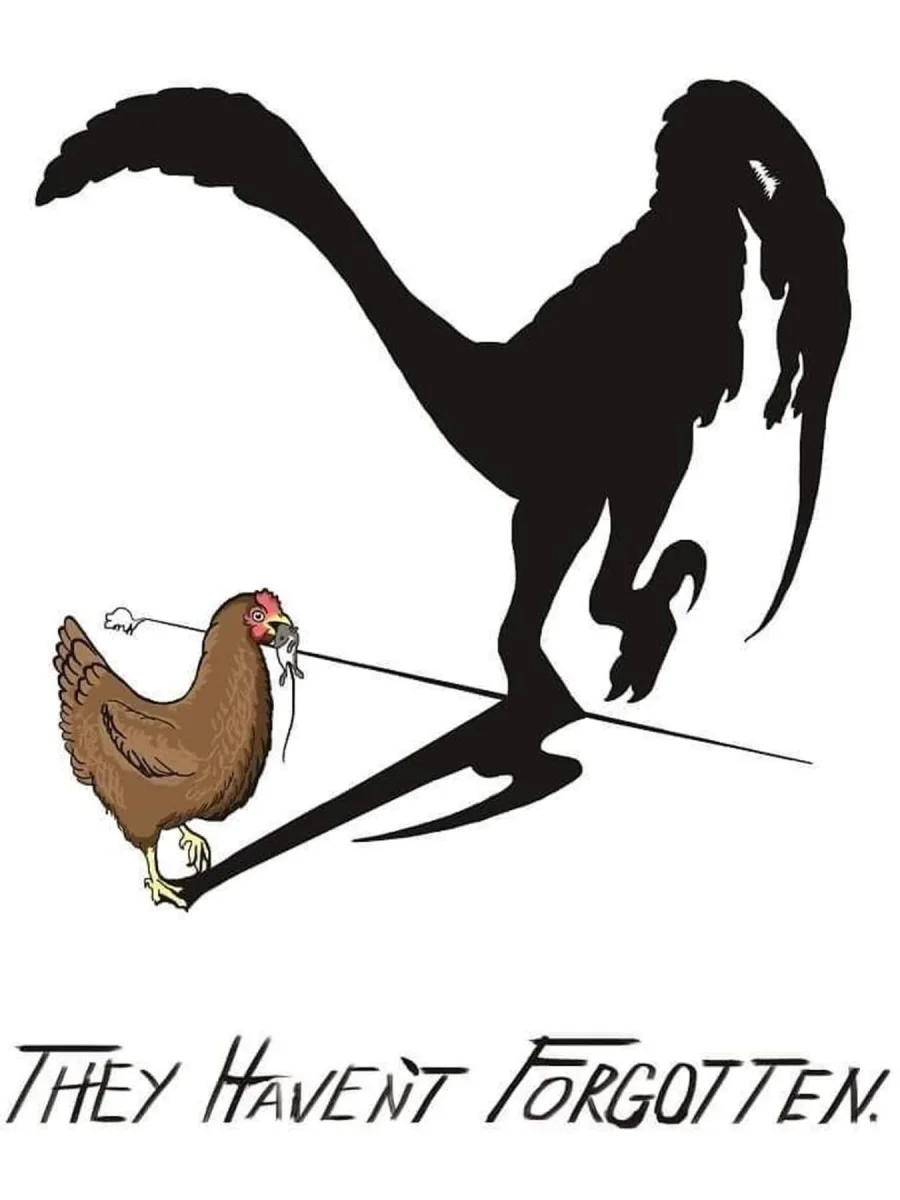 qx8jorcmxjkf1.webp