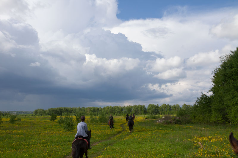 r_0017.jpg