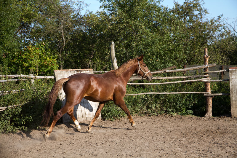 R_4108.jpg