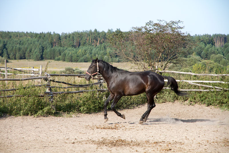 R_4147.jpg