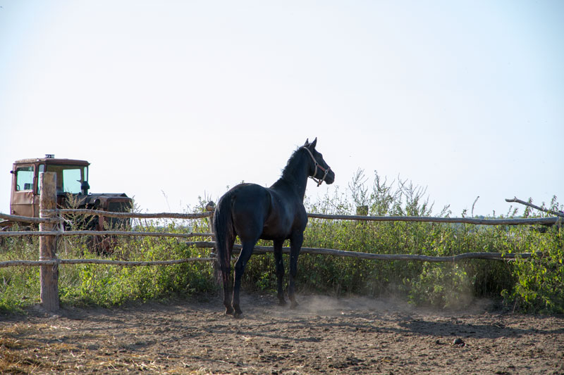 R_4178.jpg