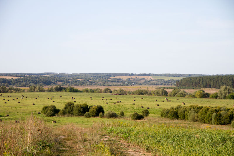 R_4198.jpg