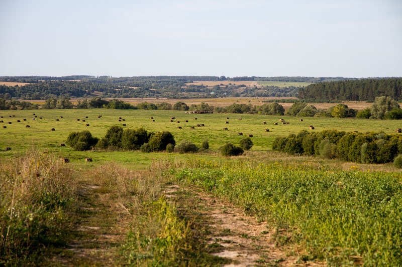 R_4199.jpg