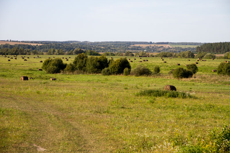 R_4200.jpg