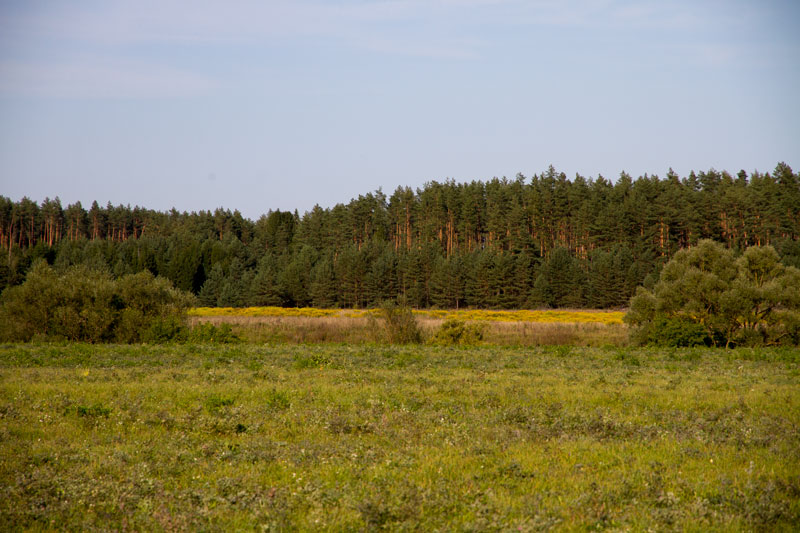 R_4207.jpg