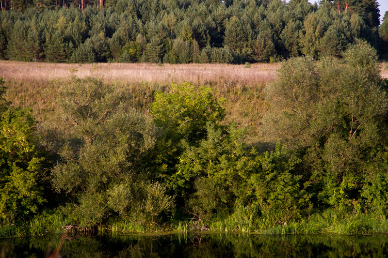 R_4407.jpg