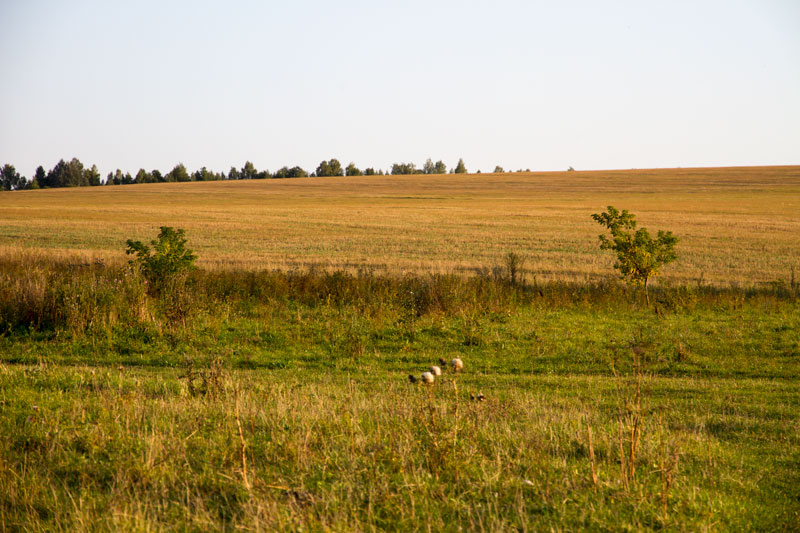 R_4422.jpg