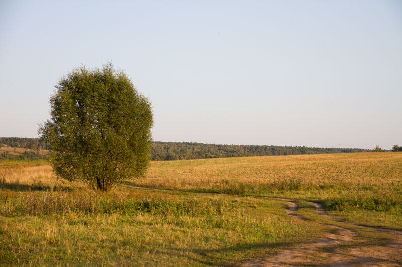 R_4426.jpg