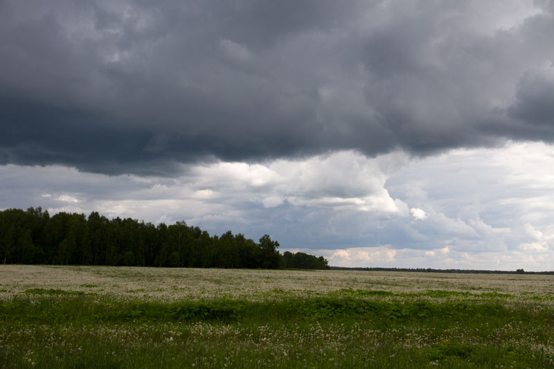 R_7897.jpg