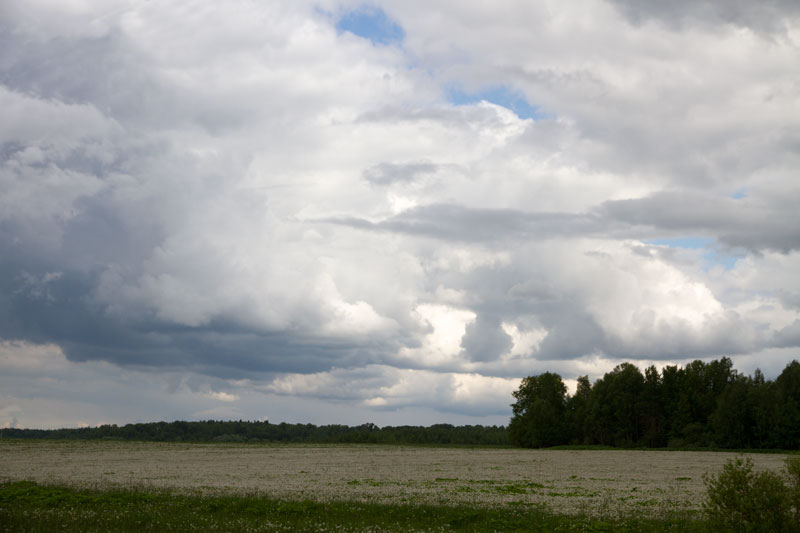 R_7898.jpg