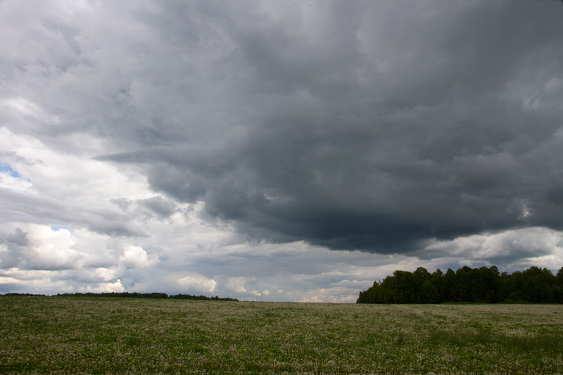 R_7901.jpg