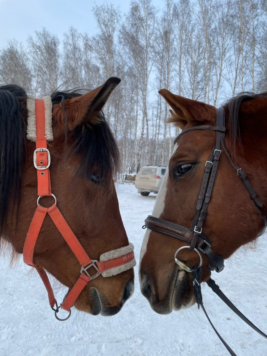 Ралли и Ая.jpg