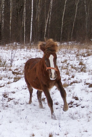Рамка0020.jpg