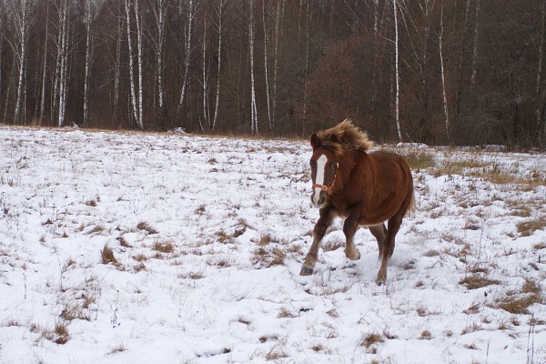 Рамка0022.jpg