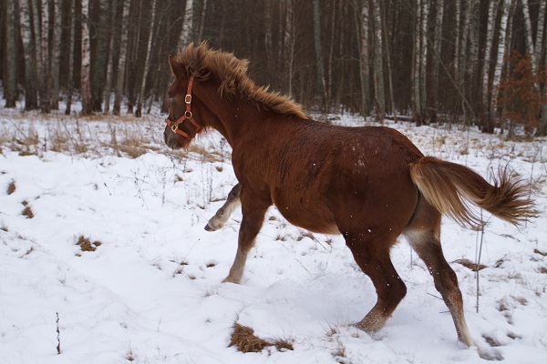 Рамка0027.jpg