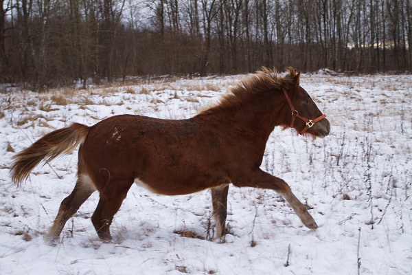 Рамка0033.jpg