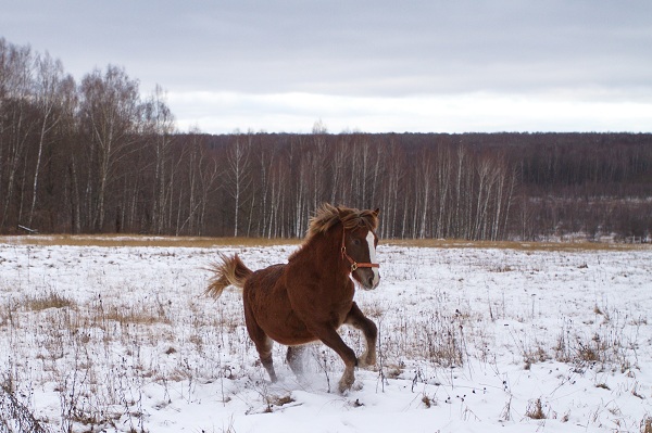 Рамка0035.jpg