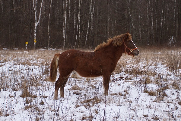 Рамка0038.jpg